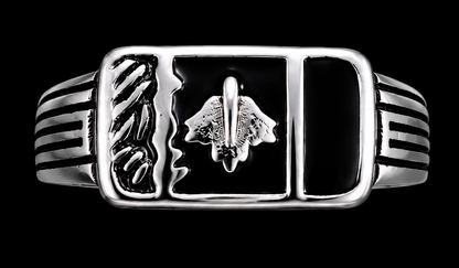 Silver Ring with CZ Stones
