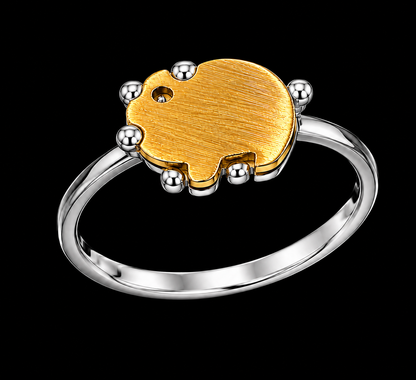 Gold and Silver Tone Ring