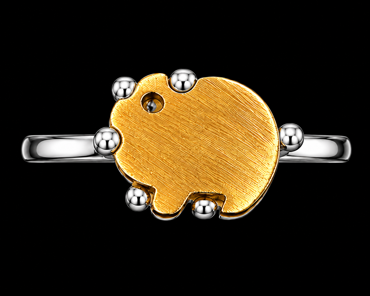 Gold and Silver Tone Ring